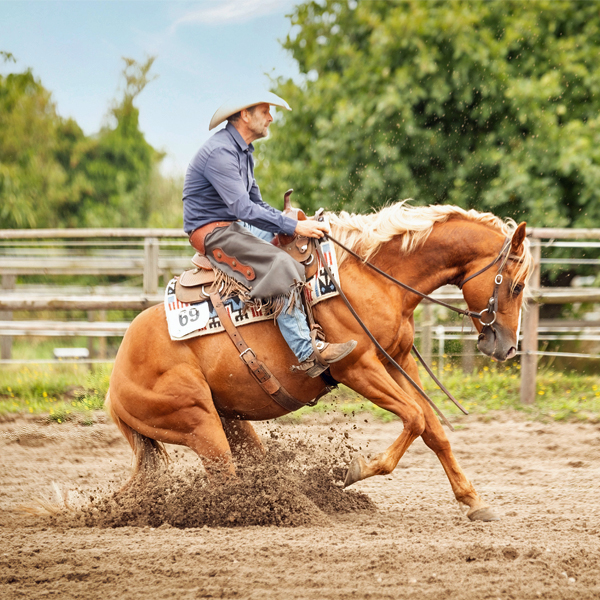 Mann reitet Pferd in den Sliding Stop